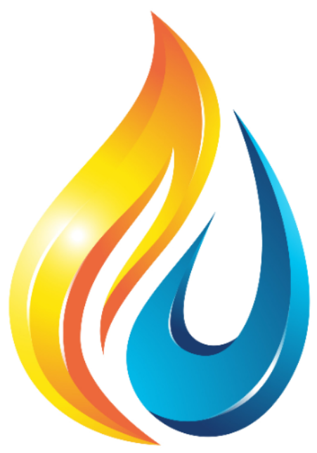 Secure Flow Logo